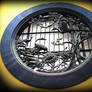 Ornamental Window