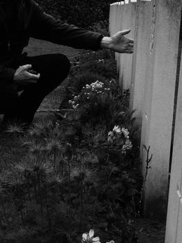 Man at soldier's grave