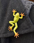 Toy Frog Pin by FeynaSkydancer