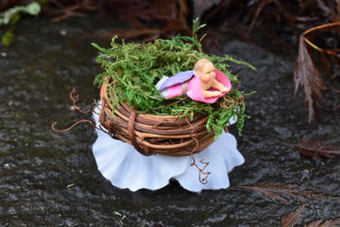 A little fairy nest by FeynaSkydancer
