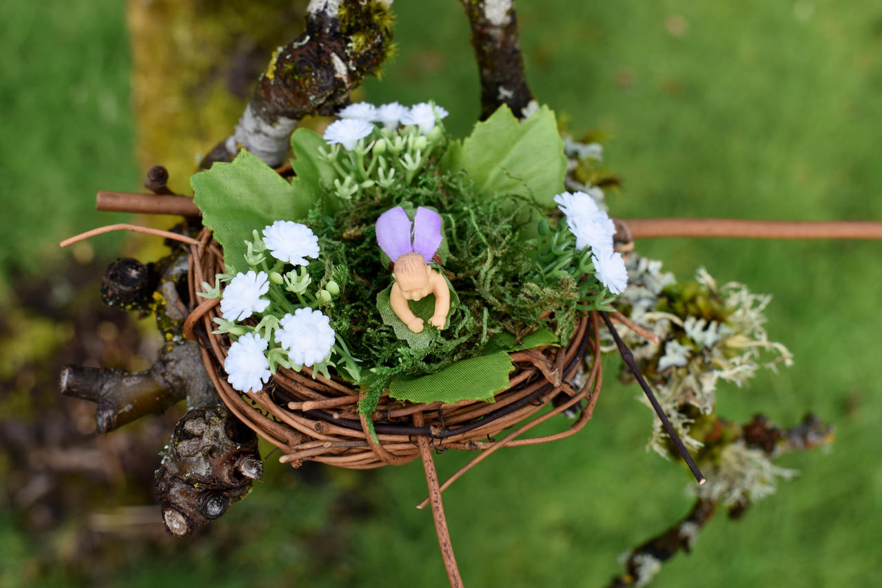 Baby S Breath Fairy Nest By Feynaskydancer On Deviantart Baby S Breath Fairy Nest By Feynaskydancer On Deviantart
