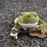 Guitar playing frog