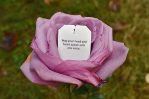 Words in a Rose