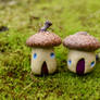 Acorntop Homes 1