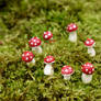 Little Clay Mushrooms