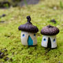 Acorntop Homes 6