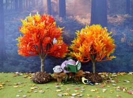 Fall, Frog, Book, and Tea 1