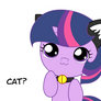 Twily is a Kitty Cat