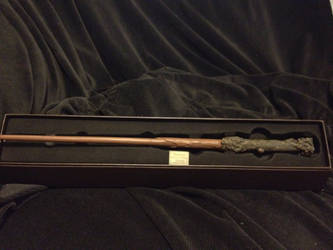 Harry Potter's Wand