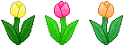 Tulip Trio Divider - F2U! by Drache-Lehre