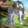 EHG Braelyn