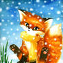 fox in snow