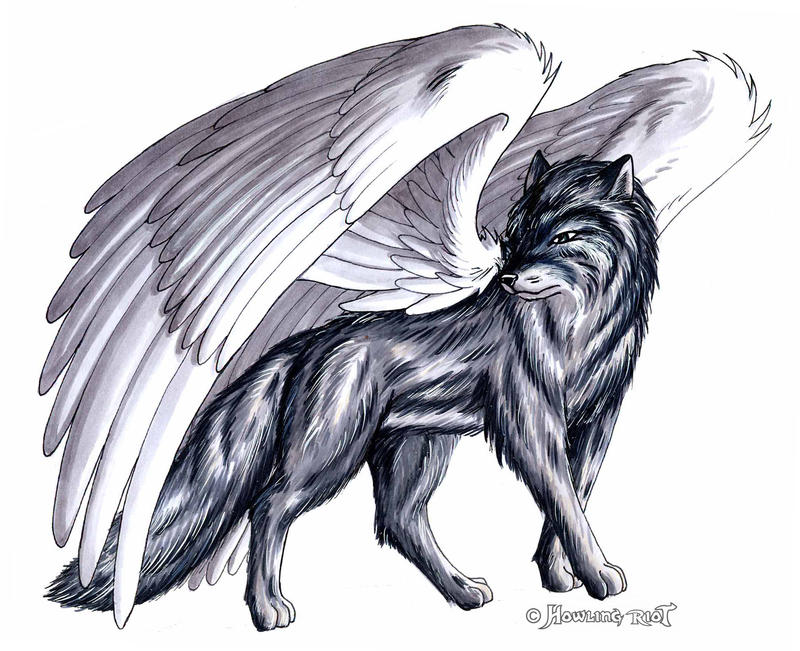 Anime wolf pup with wings