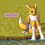 Renamon's Offer