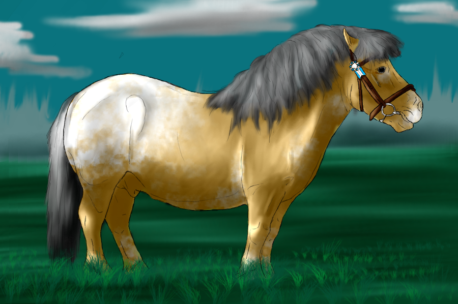 Pony For RantoraLuv redone