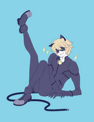 Chat noir