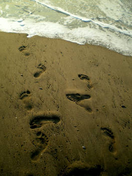 Footprints in the Sand