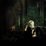 Mr. Draco Malfoy