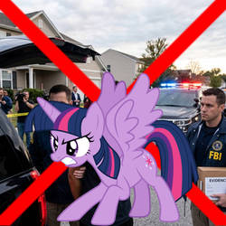 Twilight Sparkle Interrupts TF-HATER-2007's Art