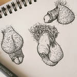 Sketchbook ~ Penis by jamie-dupree