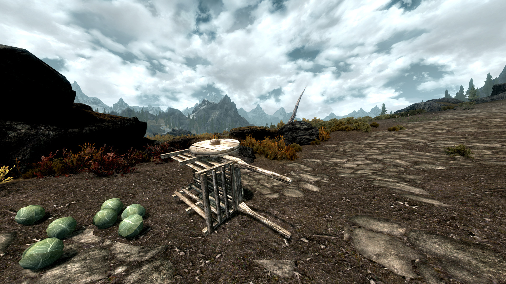 Skyrim - Don't cry over spilled cabbages