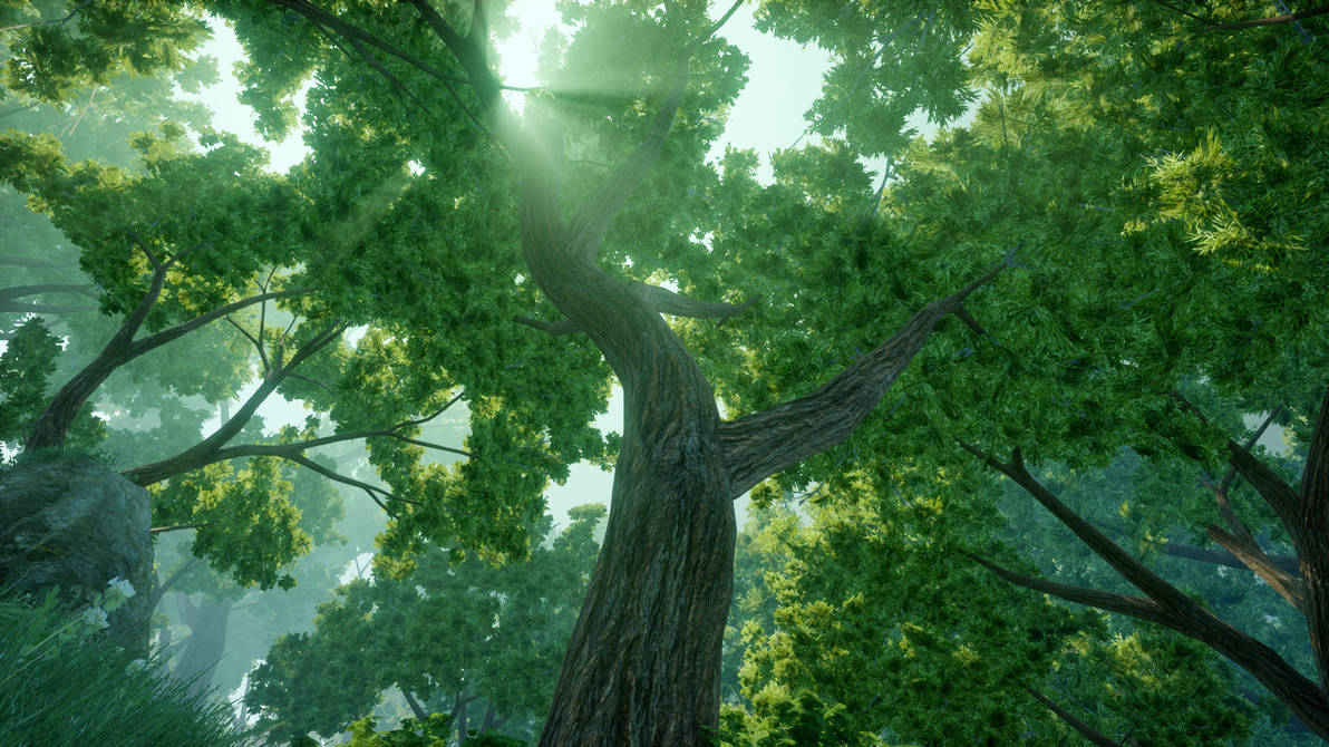Dayen Tree DAI - Tree by NDC880117 on DeviantArt