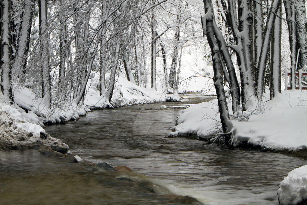 Path of Water