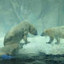 Polar Bears (19)