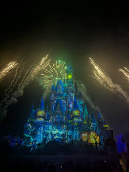 Disney Fireworks (26)