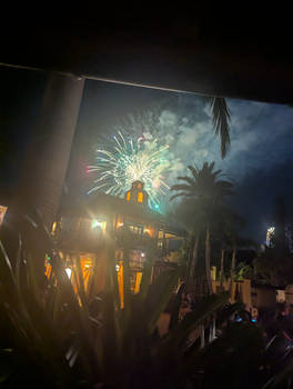 Disney Fireworks (251)