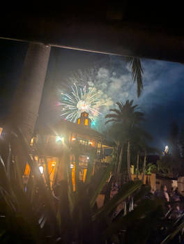 Disney Fireworks (250)