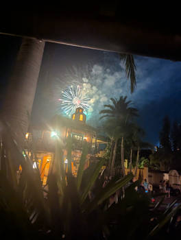 Disney Fireworks (249)