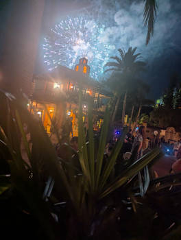 Disney Fireworks (248)