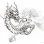 Eastern Dragon Sketch