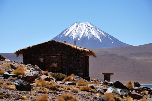 Under the volcano - Altiplano - Chile - 2011