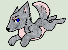 Gray wolfie (adopt-open)