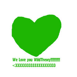 .: we love you WildTheory :.