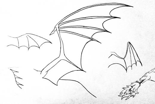 ~Dragon Wings~