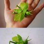 Origami Grasshopper