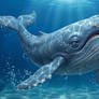Blue Humpback