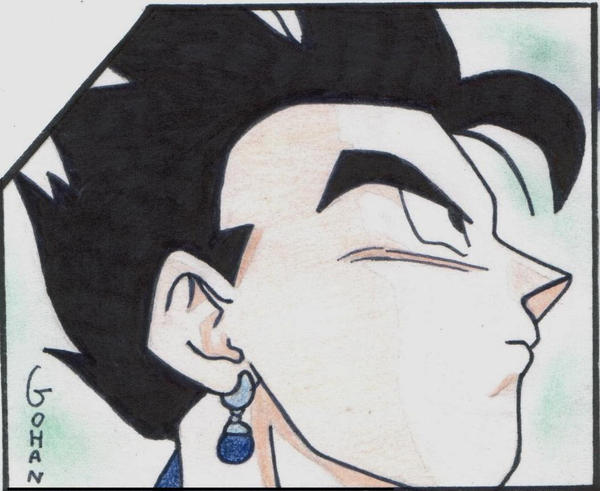 Gohan profilo dx by smerdaleon on DeviantArt