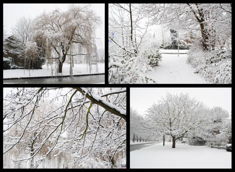 Winter in the Netherlands