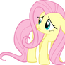 Flutter Shy