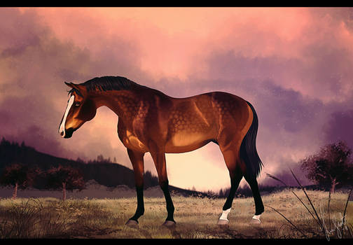 Sonnflora Hobbyist Traditional Artist Deviantart