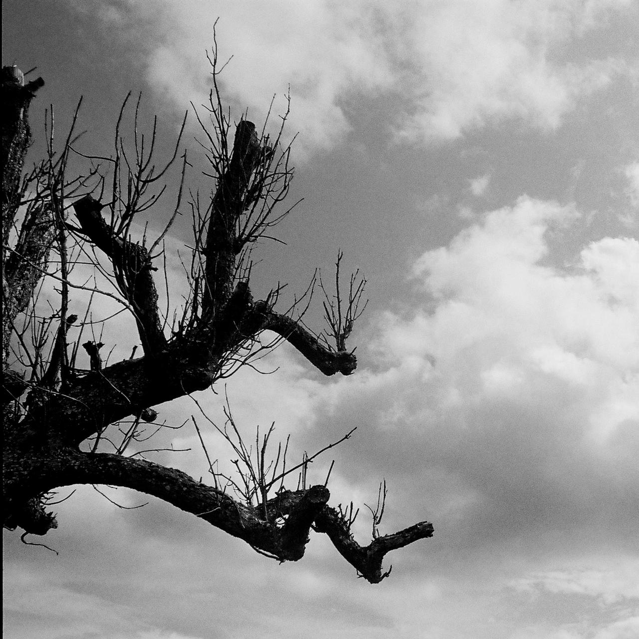 Angstridden by D1sf0r14 on DeviantArt