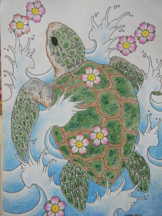 Turtle design