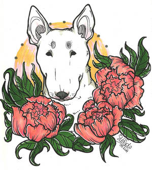 : Peony Bulterrier : by DzukiMizuki : Peony Bulterrier : by DzukiMizuki