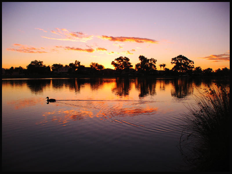 Ducky Sunset