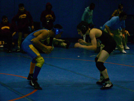 wrestlers in motion