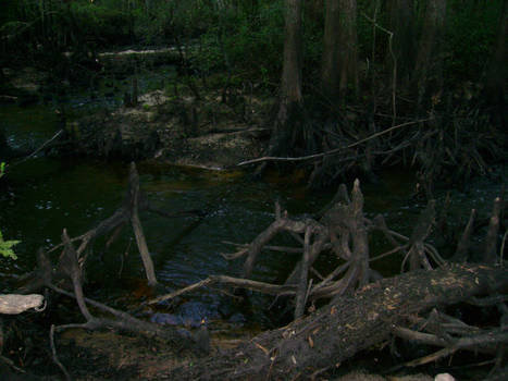 Creek running low 2